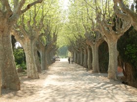 Avenue from River to Espai Ter