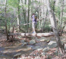 Log bridge over stream in woods near Arbucies