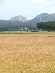 View trom Albons towards Bellcaire dEmporda and Montgri