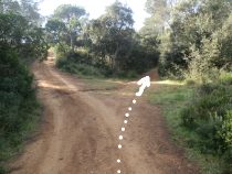 Path for the Mont-ras Boar walk
