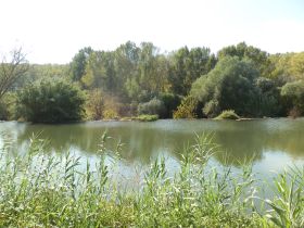 River Ter near Colomers Canoe Centre