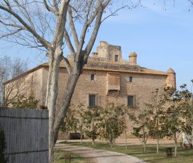 Cortal Gran near the campsites of Les Dunes and Balena Allegre