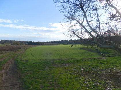 View across the old volcano crater at Volca de la Crosa