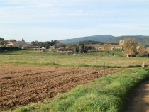 Fields at the back of Ermedas