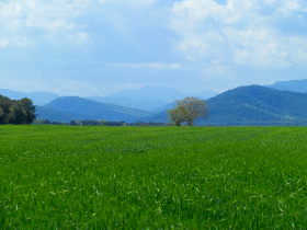 Esponella views