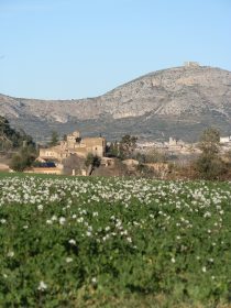 Fontanilles village with castle of Montgri behind