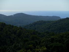 Gavarres view over the woods to the sea