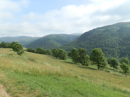 Mollo countryside