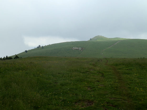 French Border above Mollo