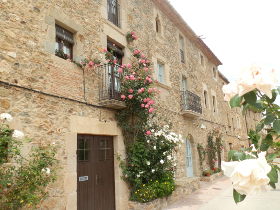 Monells terraced street with climbing roses