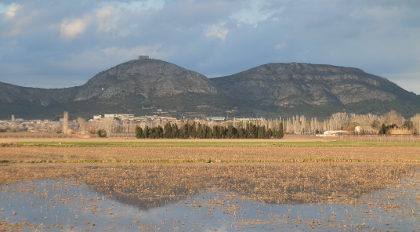 Montgri hills reflected on the rice fields