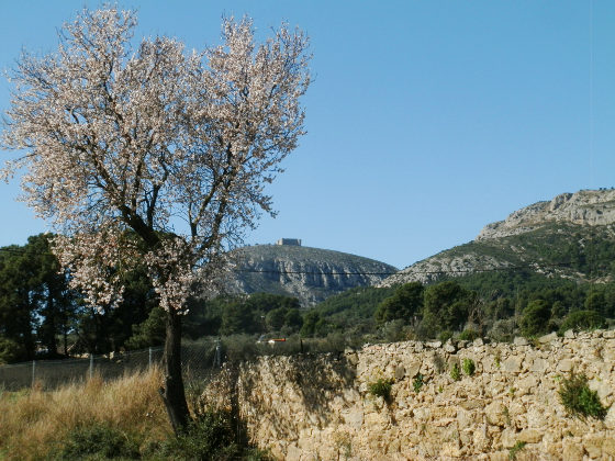 Montgri walk in spring