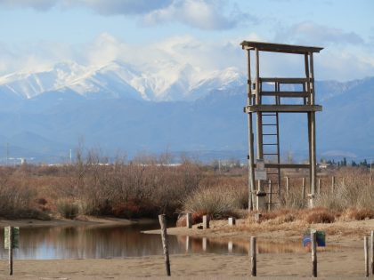 Across the Aiguamolls dEmporda to the Pyrenees