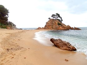 Platja de Belladona Platja dAro Costa Brava