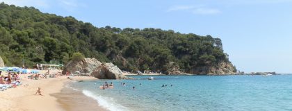 Beach at Platja Canyelles