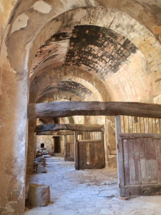 Requesens inside the stables