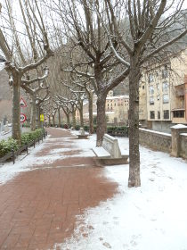 Ribes de Freser path by stream with snow