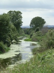 River Daro Costa Brava
