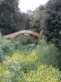 Footbridge over stream by the Ruta del Tren Petit Costa Brava