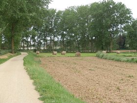 Fields and path Ruta del Tren Petit Costa Brava