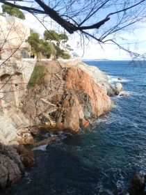 Steps in sAgaro