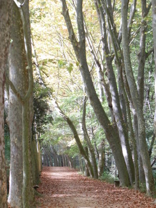 Santa Coloma de Farners Park of Sant Salvador