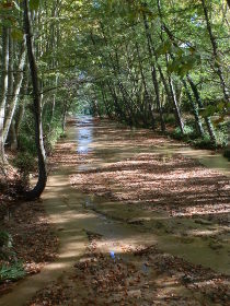 Santa Coloma de Farners river in the park