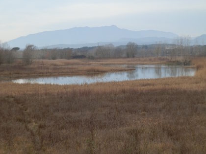 Sils lake (estany)