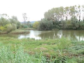 River Ter close to Torroella de Montgri Costa Brava