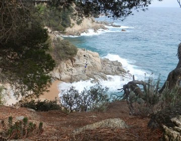 Cove close to Cala Llorell Tossa de Mar