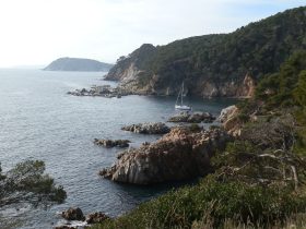 View along Cap de Palafrugell
